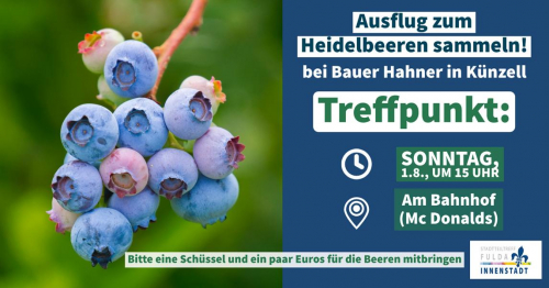 Ausflug zum Heidelbeeren sammeln